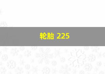 轮胎 225